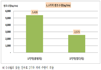 논에서 육묘이식에 따른 옥수수 2기작 수량 그래프-8~9월의 잦은 강우로 2기작 재배 수량이 적음