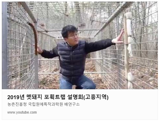 멧돼지