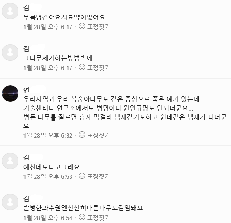 나뭇가지 댓글