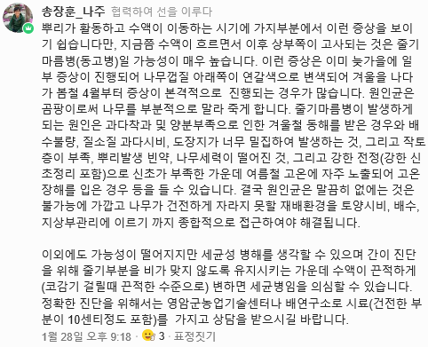 나뭇가지 댓글2