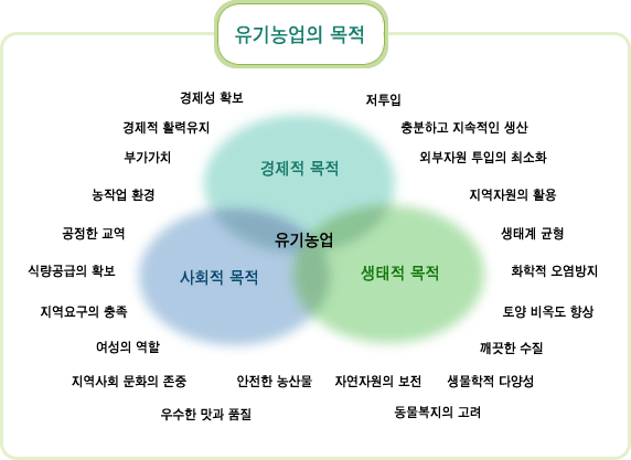 육성계획