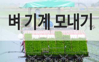 벼 기계 모내기