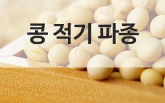 콩 적기 파종