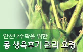 안전다수확을 위한 콩 생육후기 관리 요령