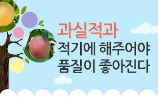 과실적과적기에 해주어야 품질이 좋아진다