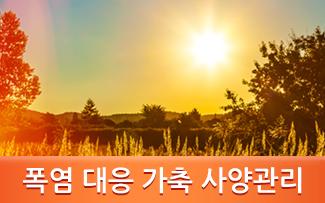 폭염 대응 가축 사양관리