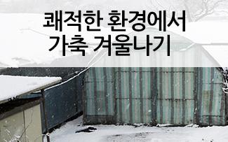쾌적한 환경에서 가축 겨울나기
