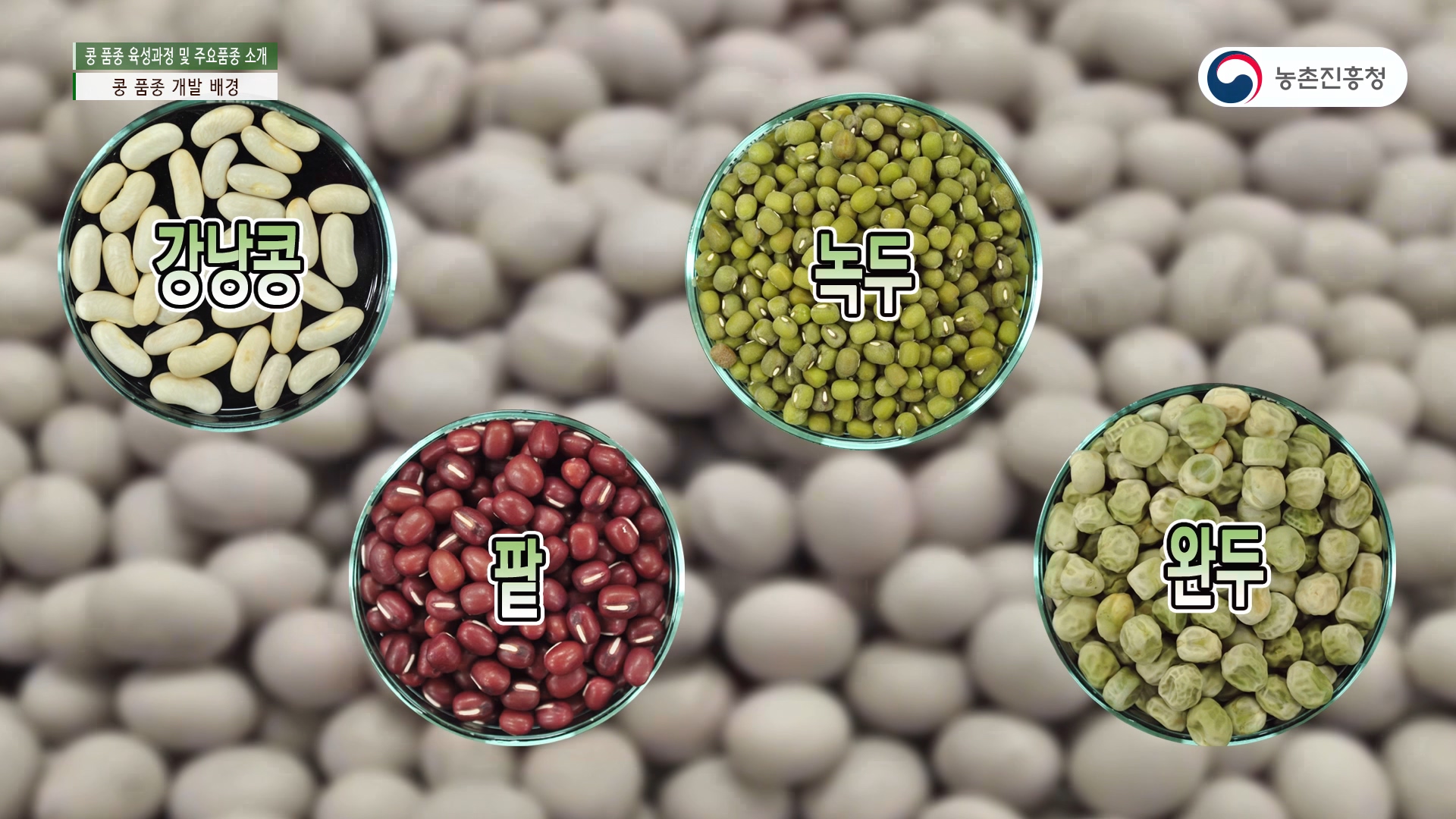 콩 용도별 주요품종 특성