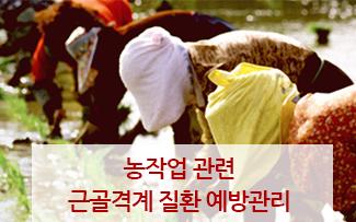 아이고 ~ 팔, 다리, 허리, 어깨야 ! 농작업 관련 근골격계 질환 예방관리