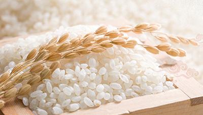 고품질 쌀 유지에 앞장서는 쌀 품질 관리실