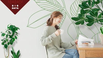 빅데이터로 알아보는 반려식물