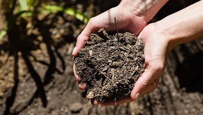 비료 적정 사용은 토양검정이 기본 흙토람 비료사용처방서로 비료 사용 절감