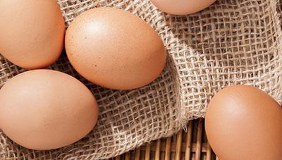 달걀 ‧ 닭고기 건강하게 먹어볼까?