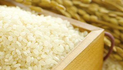 쌀 더 오래 맛있게 먹을 수 있는 방법