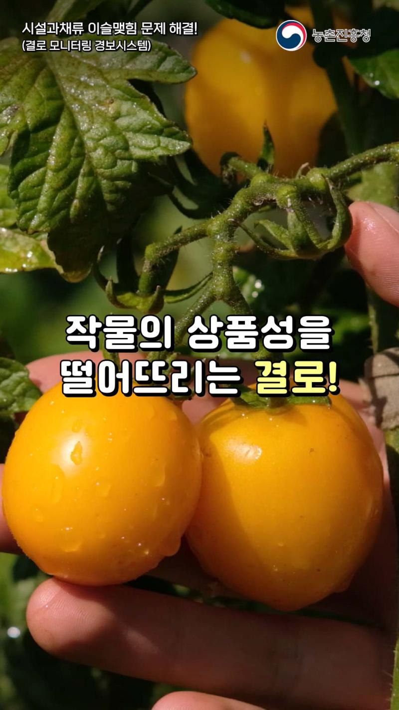 시설과채류 이슬맺힘 문제 해결!