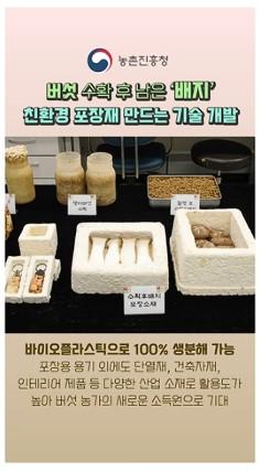 버섯 수확 후 남은 '배지' 친환경 포장재로 변신!