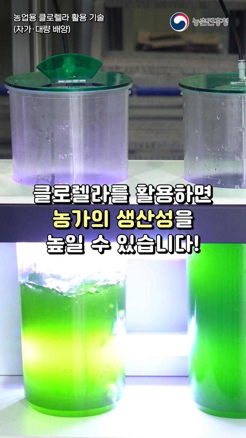 농업용 클로렐라 활용 기술