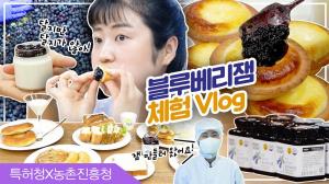 [농촌진흥청×특허청]  맛깡패 블루베리 잼 최강 조합은?