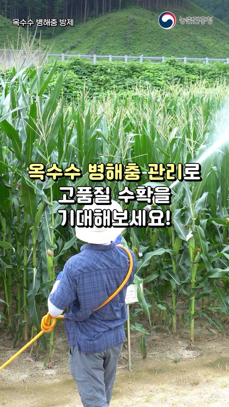 옥수수 병해충 방제