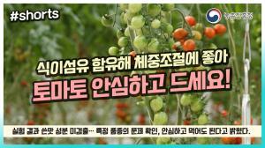 면역력 향상에 좋은 토마토 안심하고 드세요!(*°▽°*)╯