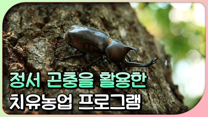 정서 곤충을 활용한 치유농업 프로그램