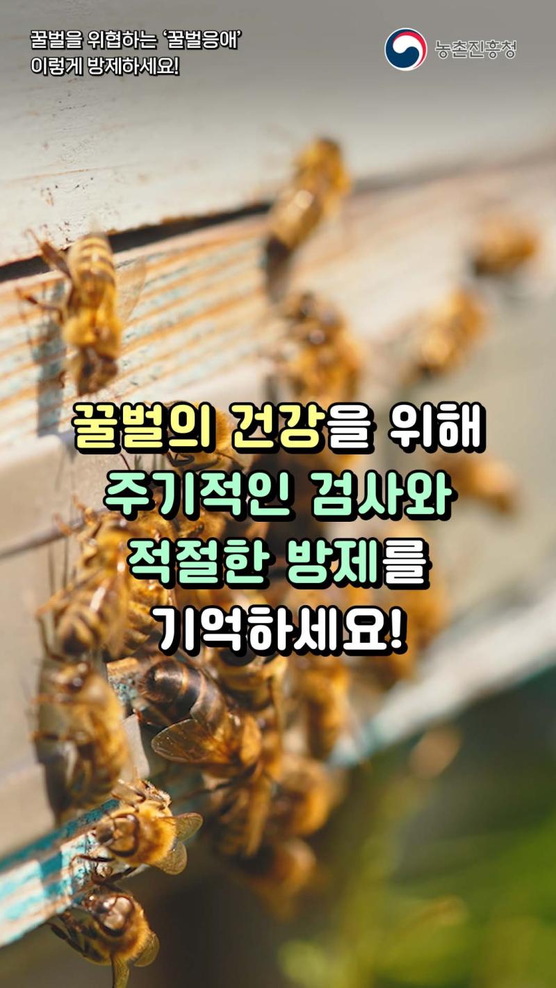 꿀벌을 위협하는 '꿀벌응애' 이렇게 방제하세요!