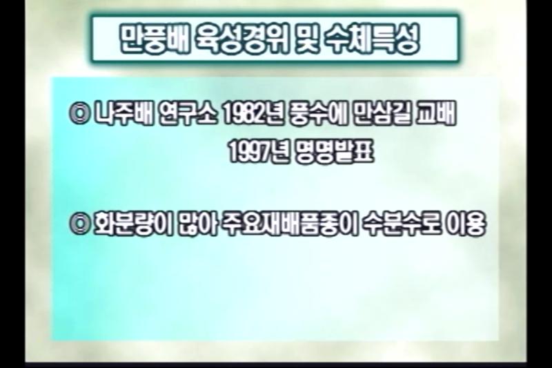 만풍배_감천배