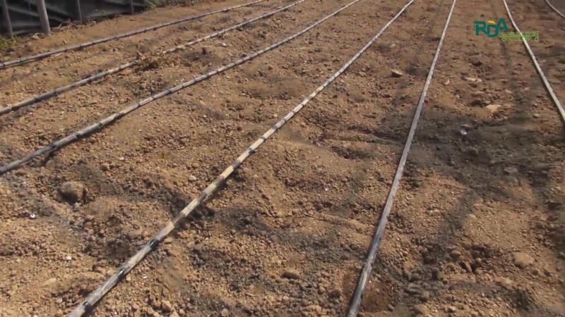 저농도 에탄올 이용 토양소독 방법