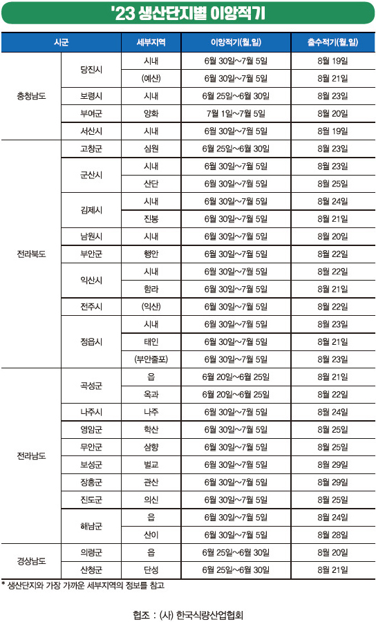 가루쌀