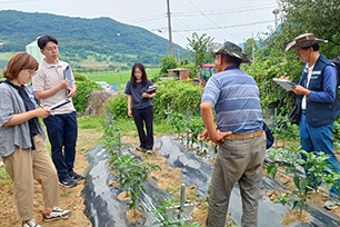 고추 이상증상 발생 현황 청취 사진