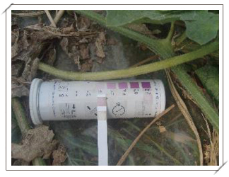 토양내 질소 함량(25mg/kg 이하)
