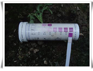 토양내 질산태질소 함량( 500㎎/kg 이상)