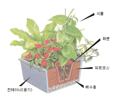 왼쪽부터: 컨테이너(용기), 배수층, 피트모스, 화분, 식물