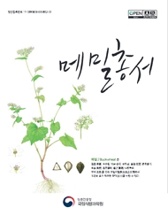 메밀총서 메밀/Buckwheat은 청엽(靑葉) 푸른입, 백화(白花) 하얀꽃, 홍경(紅莖) 붉은줄기, 흑실(黑實) 검은열매, 황근(黃根) 노란뿌리 오색(五色)을 갖춘 오방지영물(五方支靈物)로서 꾸준히 즐겨 먹으며 오덕(五德)을 취할 수 있다