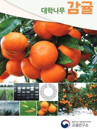대학나무 감귤 농촌진흥청 국립원예특작과학원 감귤연구소
