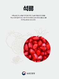 석류 농촌진흥청