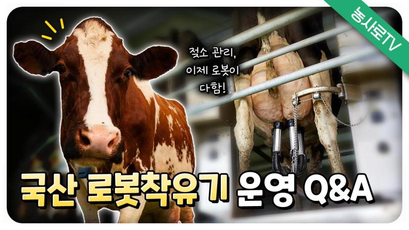 국산 로봇착유기 운영 Q&A