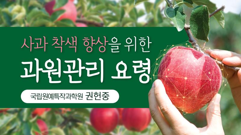 사과 착색 향상을 위한 과원관리 요령