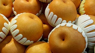 배 저장에 관련된 장해 요인 알아보기