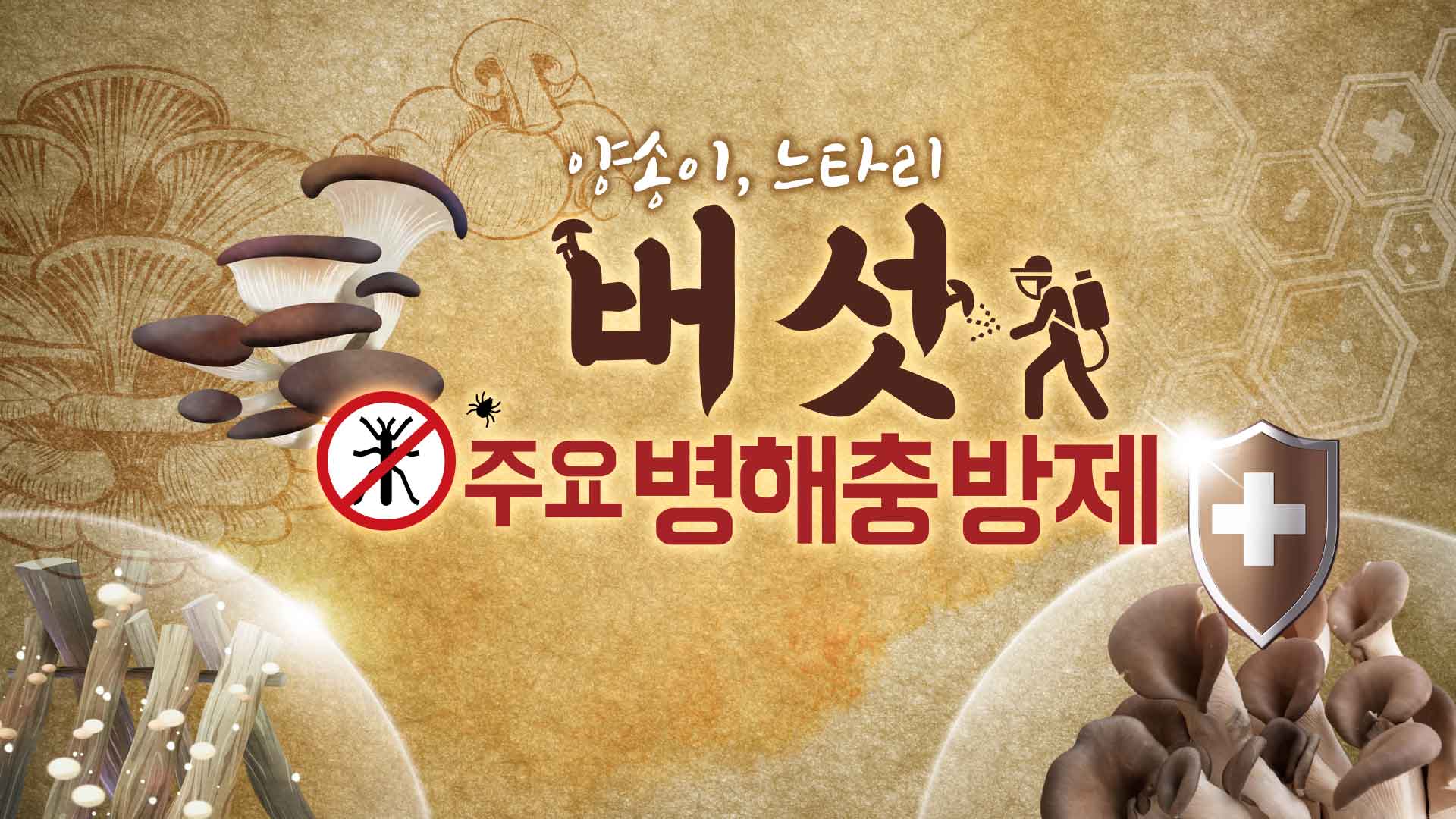 버섯 주요 병해충 방제(양송이, 느타리)