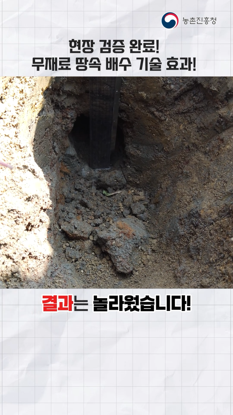 논밭작물 재배 배수 걱정 끝! 무재료 땅속 배수 기술_쇼츠 B