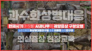 [과수화상병] 사과나무 궤양 의심증상 현장교육 영상교재_<span class='blue'>필</span>수_ 이미지