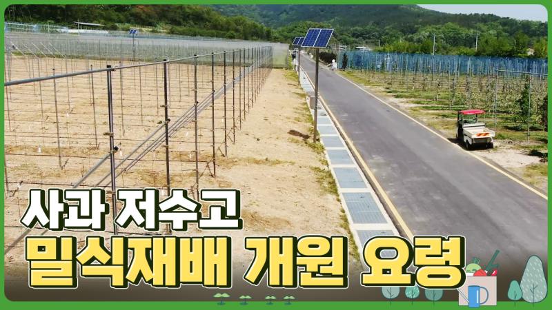 사과 저수고 밀식재배 개원 요령