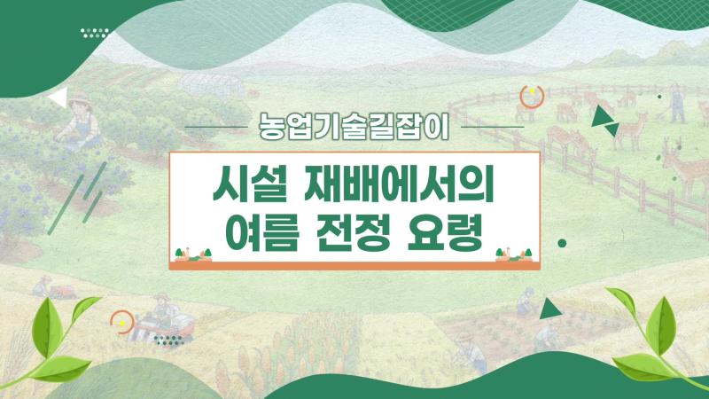 농업기술길잡이 - 시설 재배에서의 여름 전정 요령 썸네일 이미지