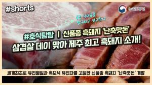 호식탐탐~ 삼겹살 데이 맞아 제주 최고 흑돼지 소개 / 신품종 흑돼지 '난축맛돈'╰(*°▽°*)╯