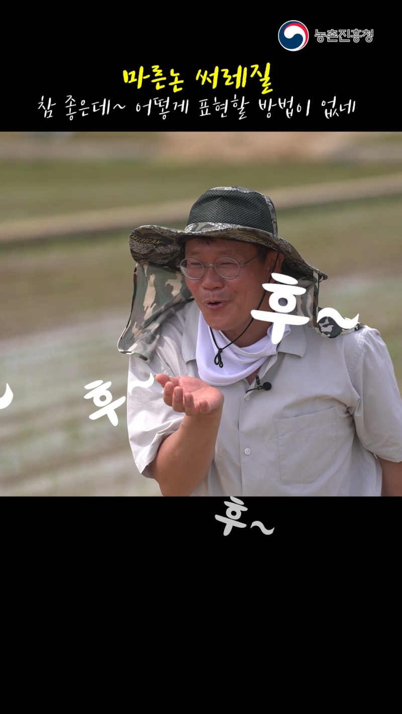 마른논 써레질 재배 기술에 따른 작업 체계 및 수량 변화_쇼츠 A