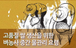 고품질 쌀 생산을 위한 벼농사 중간 물관리 요령