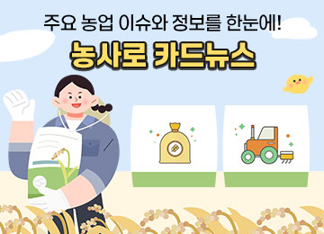 카드뉴스 홍보 알림판