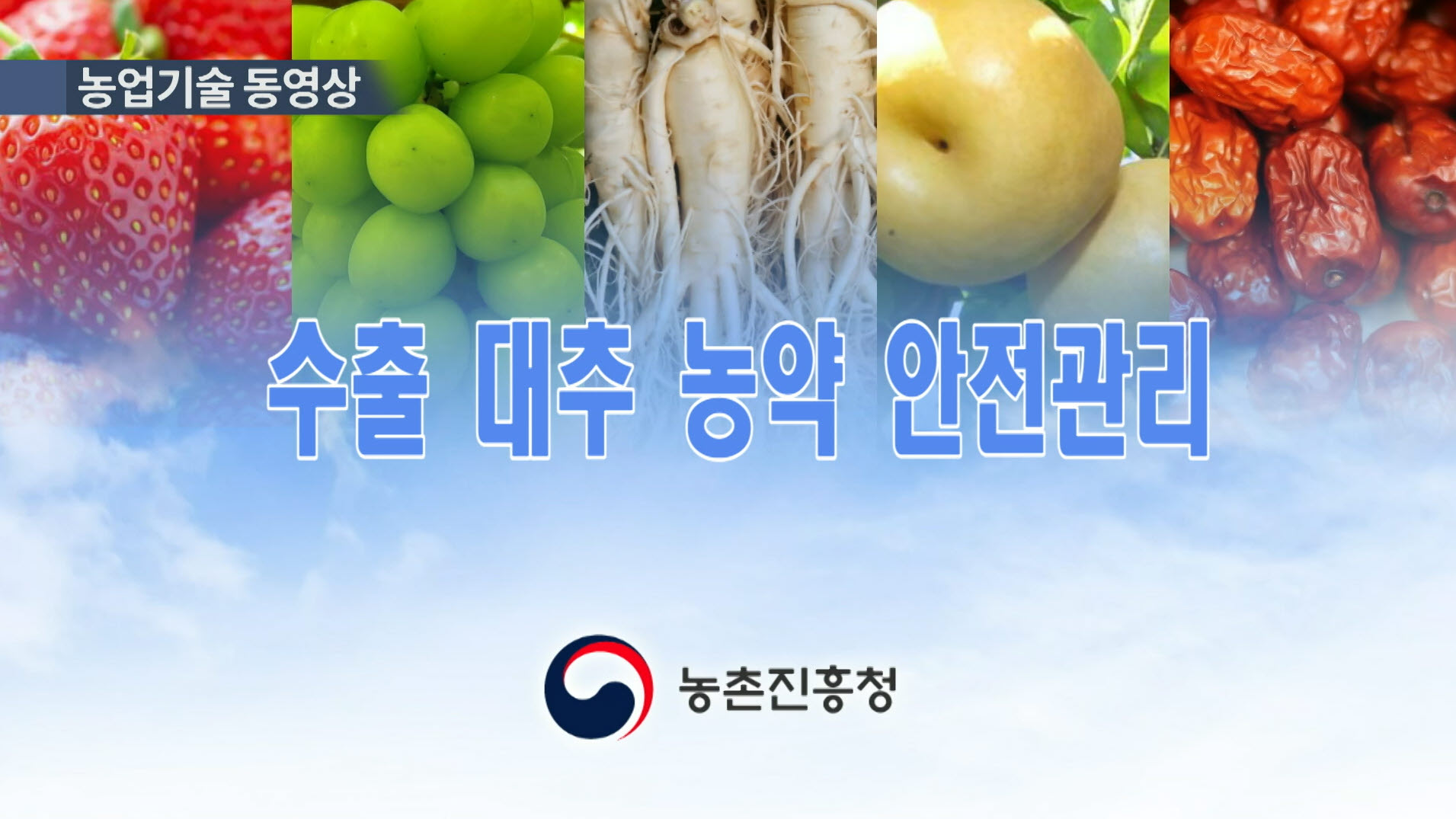 수출 대추 농약 안전관리