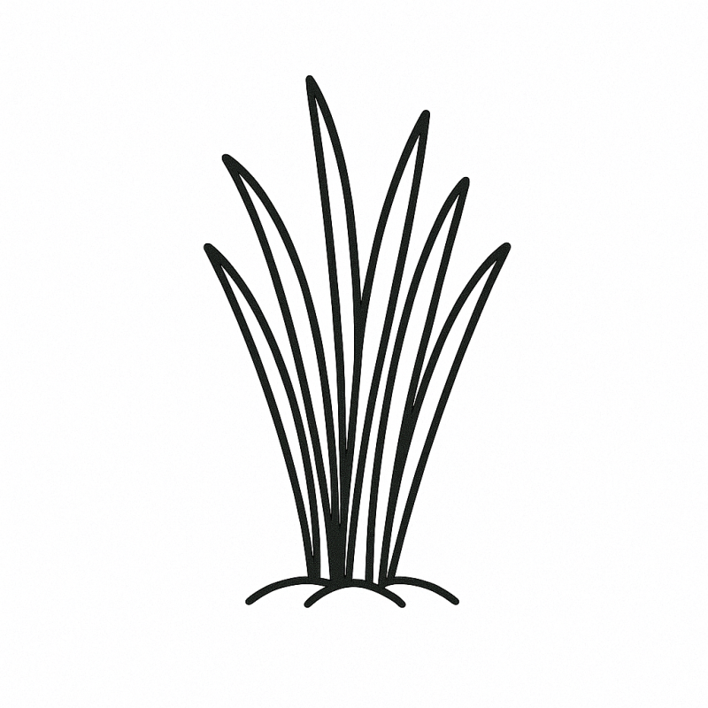알팔파 어린잎(건조분말) 이미지